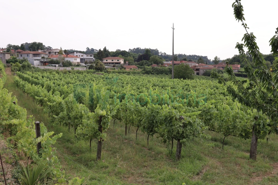 Terreno para Venda em Refontoura Foto 19