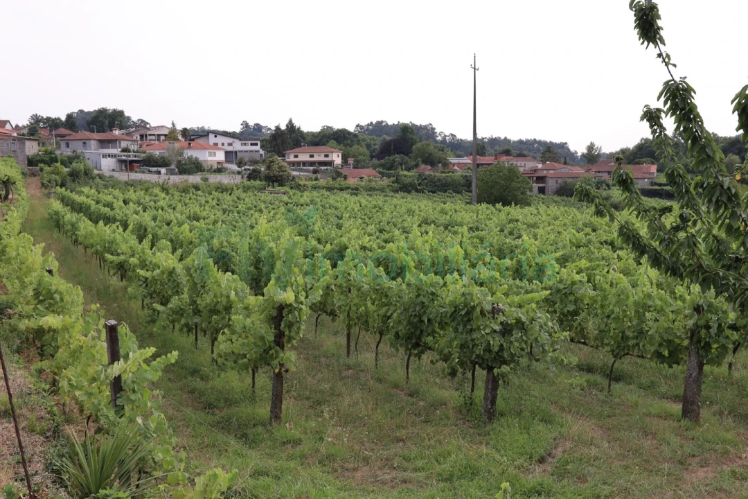 Terreno para Venda em Refontoura Foto 20
