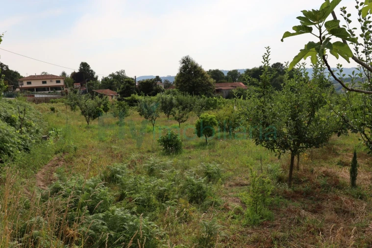 Terreno para Venda em Refontoura Foto 5