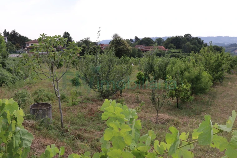 Terreno para Venda em Refontoura Foto 15