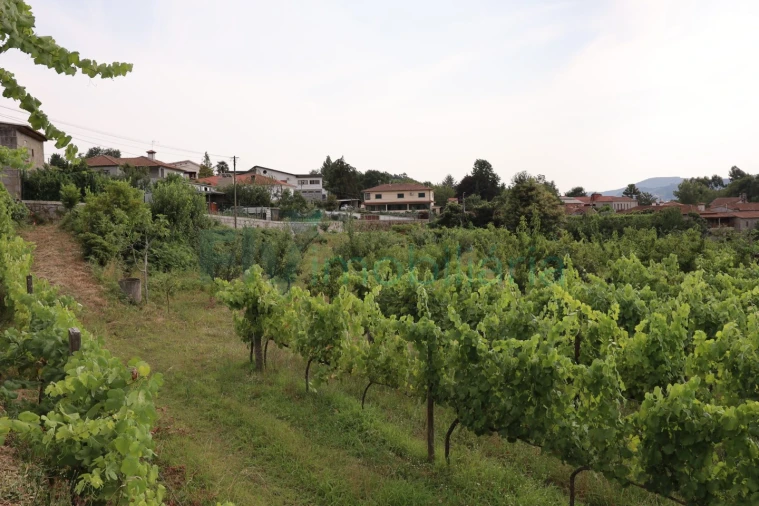 Terreno para Venda em Refontoura Foto 16