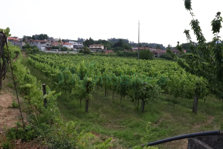 Terreno para Venda em Refontoura Foto 21