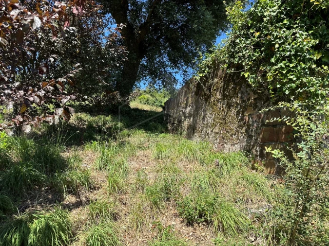 Terreno para Venda em Palmeira de Faro e Curvos Foto 4