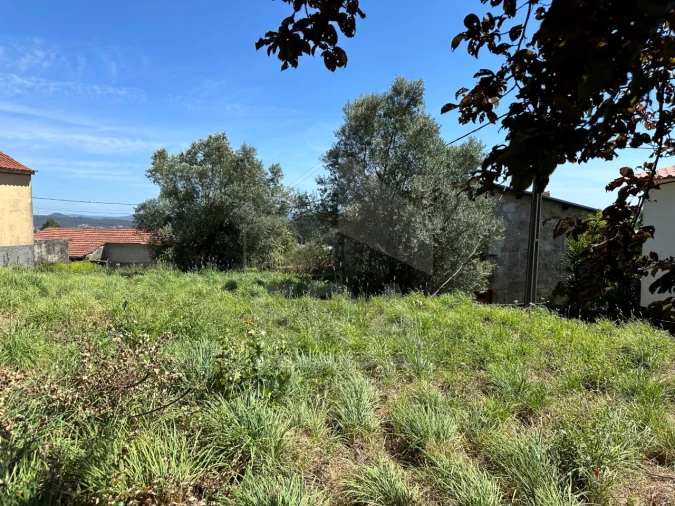 Terreno para Venda em Palmeira de Faro e Curvos Foto 5