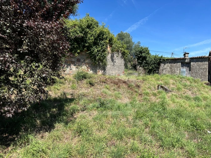 Terreno para Venda em Palmeira de Faro e Curvos Foto 6