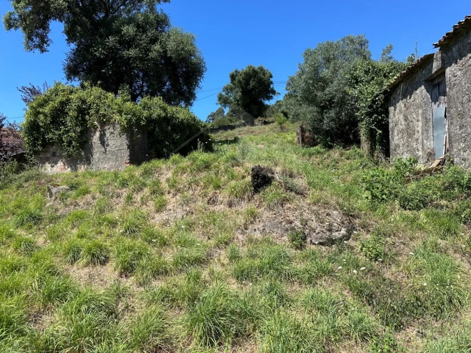 Terreno para Venda em Palmeira de Faro e Curvos Foto 12