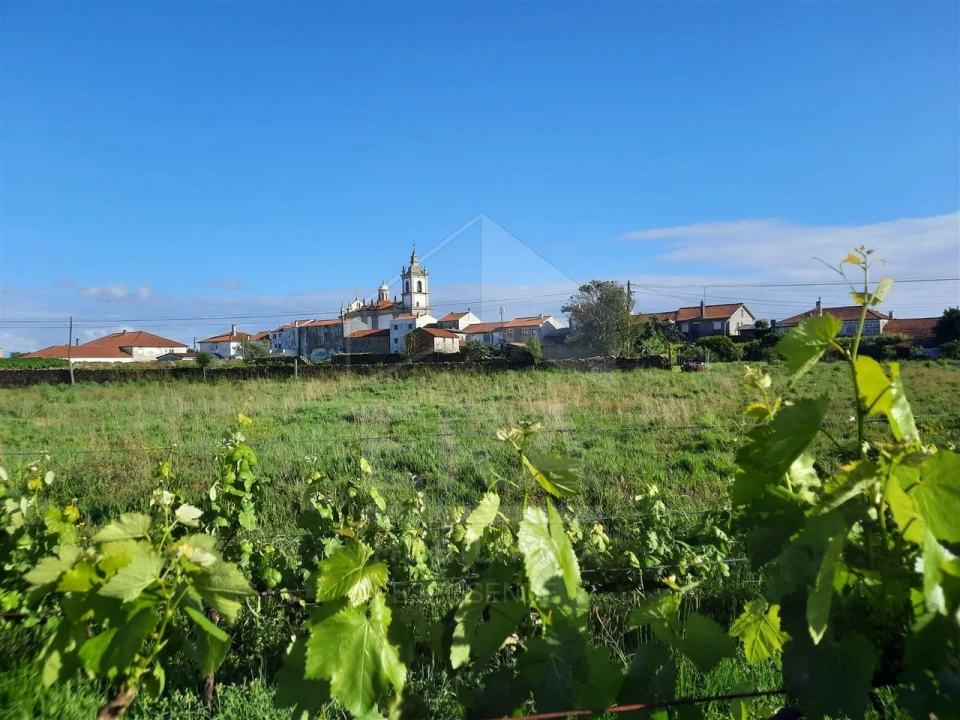 Terreno para Venda em Barqueiros Foto 5