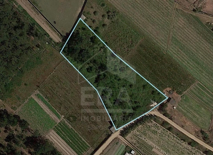 Terreno para Venda em Apúlia e Fão