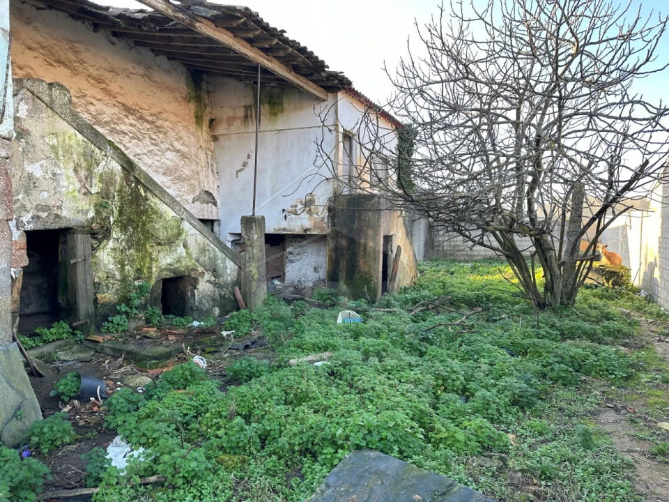 Moradia para Venda em Estela Foto 5