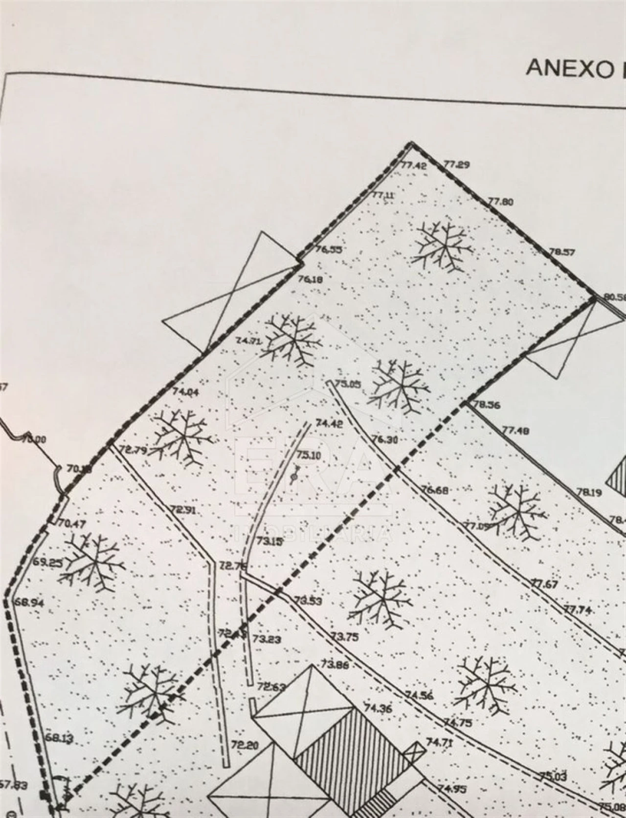 Terreno para Venda em Creixomil e Mariz Foto 8