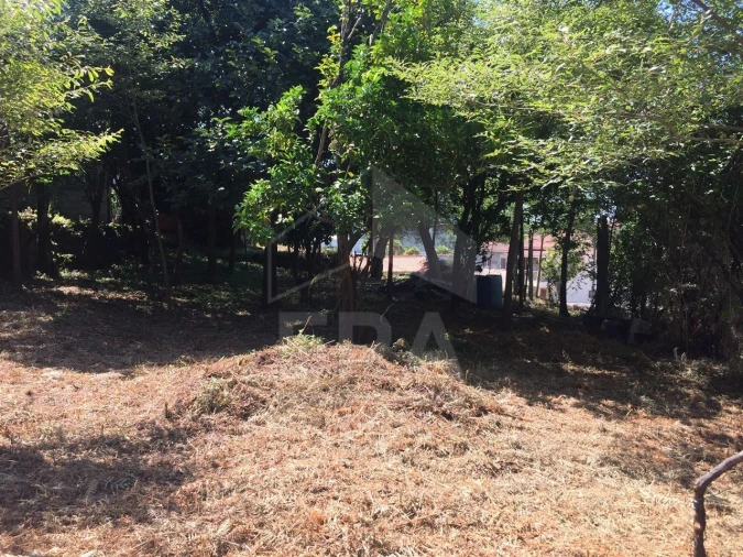 Terreno para Venda em Creixomil e Mariz Foto 3