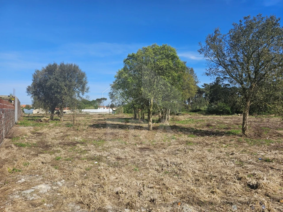 Terreno para Venda em Apúlia e Fão Foto 3