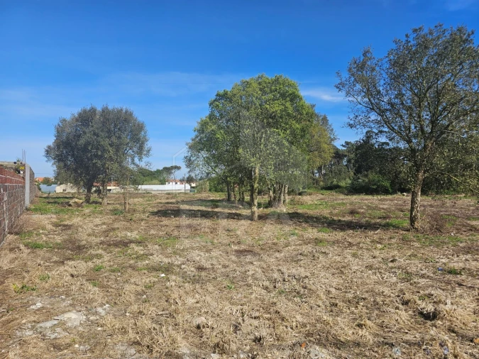Terreno para Venda em Apúlia e Fão Foto 3