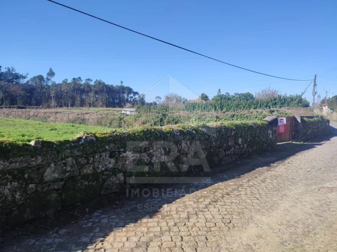 Terreno para Venda em Forjães Foto 2