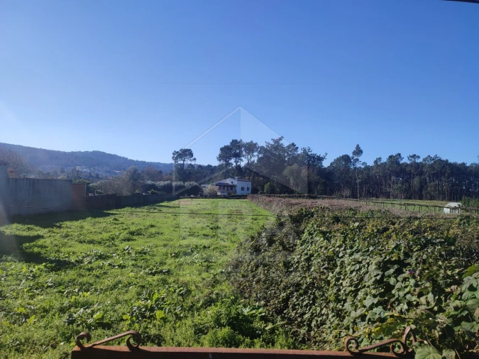 Terreno para Venda em Forjães Foto 4