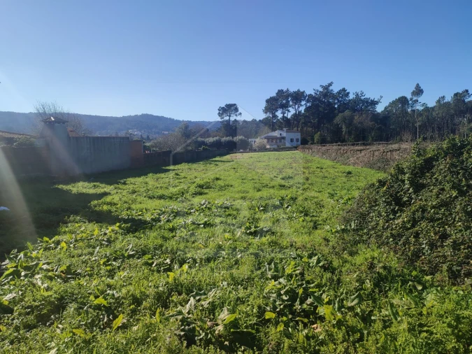 Terreno para Venda em Forjães Foto 5