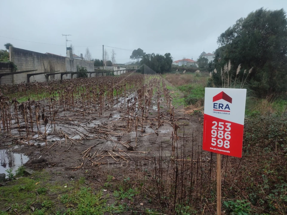 Terreno para Venda em Forjães Foto 1