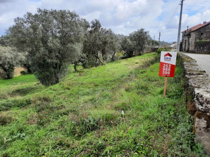 Terreno para Venda em Palmeira de Faro e Curvos Foto 3