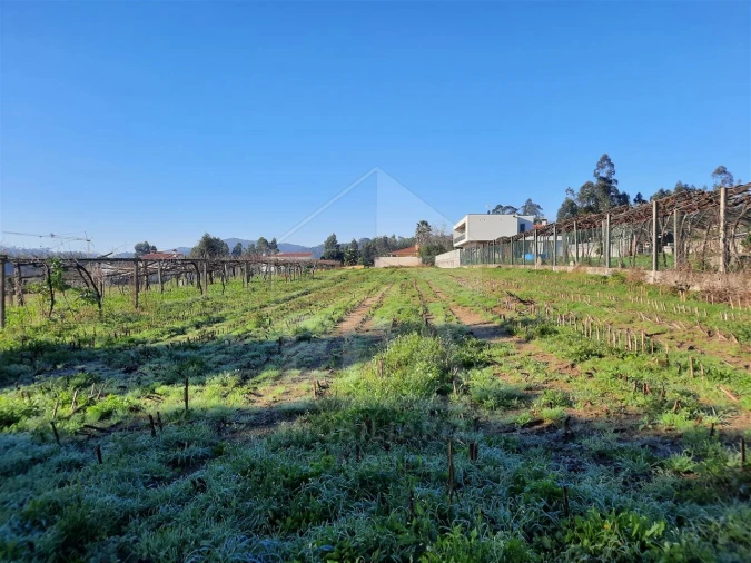 Terreno para Venda em Palmeira de Faro e Curvos Foto 5