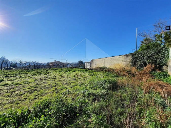 Terreno para Venda em Palmeira de Faro e Curvos Foto 6
