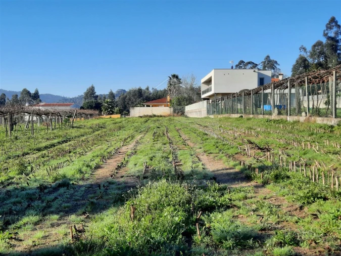 Terreno para Venda em Palmeira de Faro e Curvos Foto 8