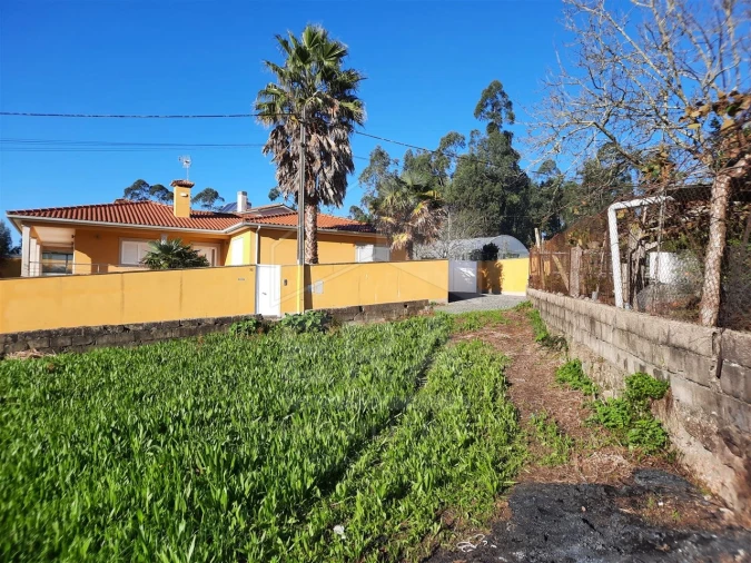 Terreno para Venda em Palmeira de Faro e Curvos Foto 12