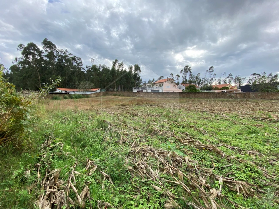 Terreno para Venda em Fonte Boa e Rio Tinto Foto 3