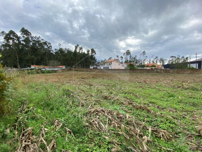 Terreno para Venda em Fonte Boa e Rio Tinto Foto 2