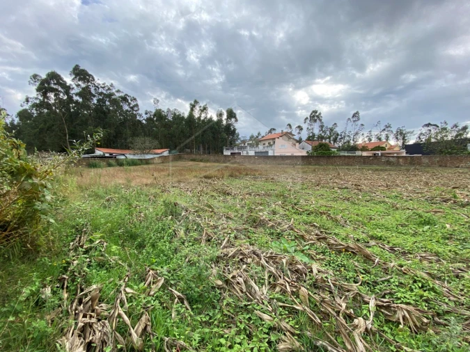 Terreno para Venda em Fonte Boa e Rio Tinto Foto 3