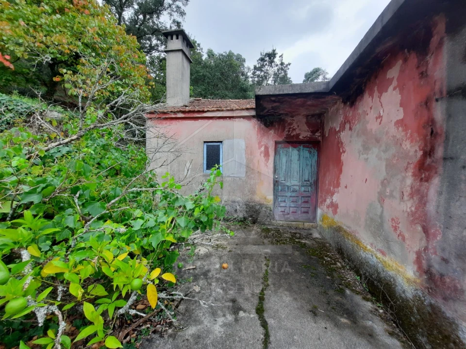 Moradia para Venda em Palmeira de Faro e Curvos Foto 5