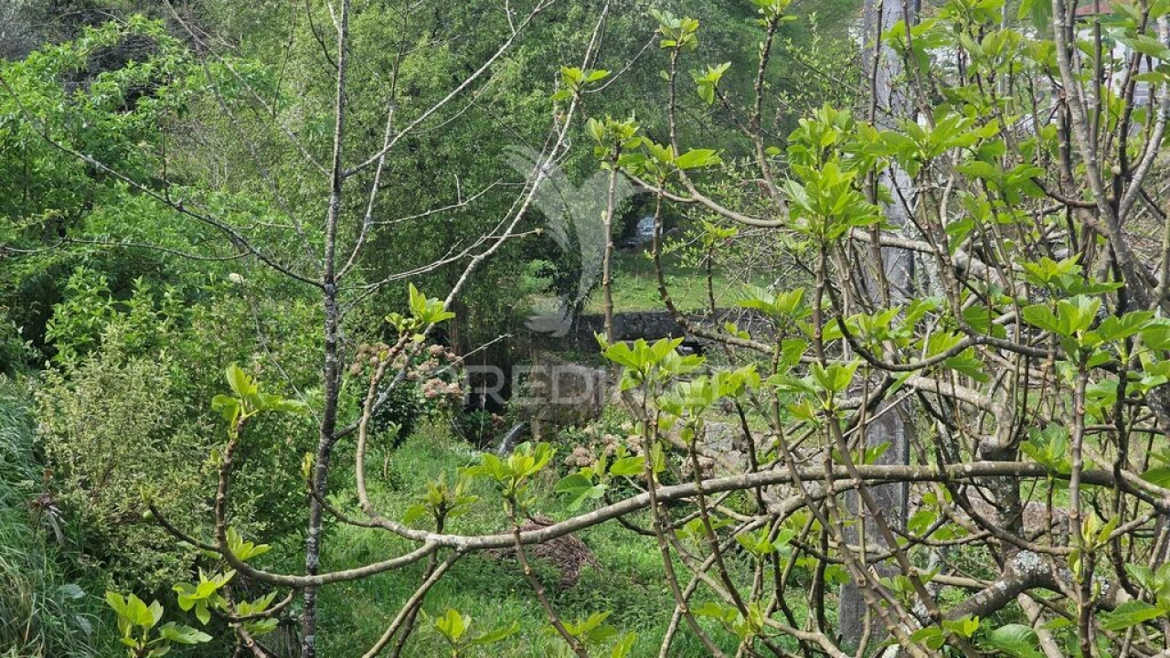 Moradia para Venda em Monte Córdova Foto 17