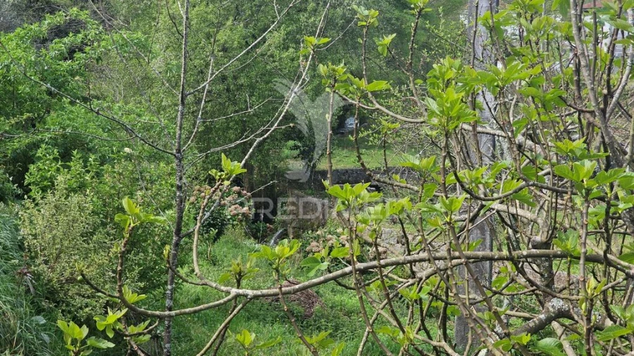 Moradia para Venda em Monte Córdova Foto 17