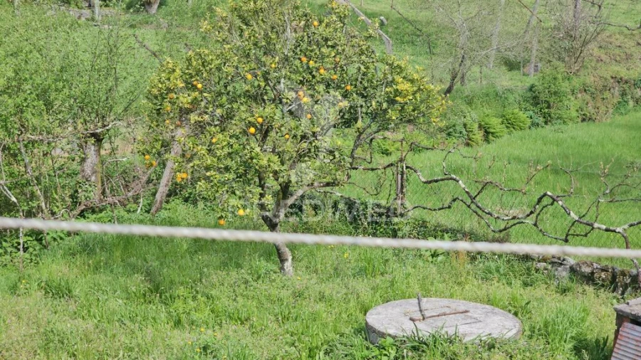 Moradia para Venda em Monte Córdova Foto 18