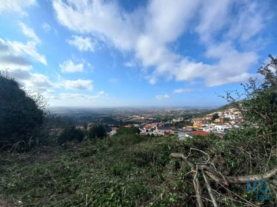 Terreno para Venda em Lamas e Cercal Foto 6