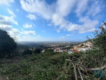 Terreno para Venda em Lamas e Cercal