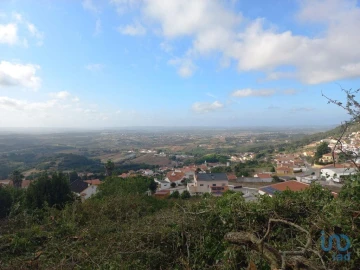 Terreno para Venda em Lamas e Cercal