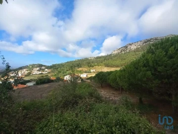 Terreno para Venda em Lamas e Cercal