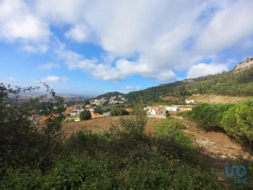 Terreno para Venda em Lamas e Cercal