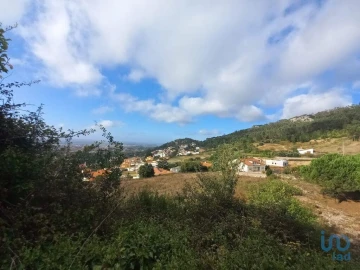 Terreno para Venda em Lamas e Cercal