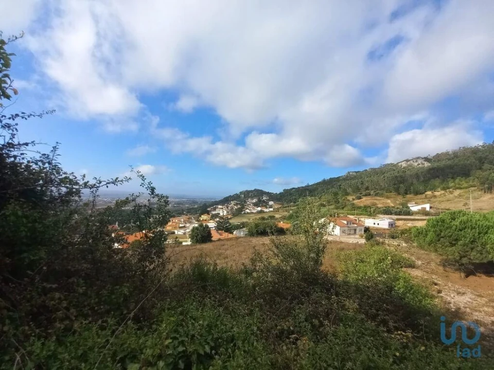 Terreno para Venda em Lamas e Cercal Foto 9