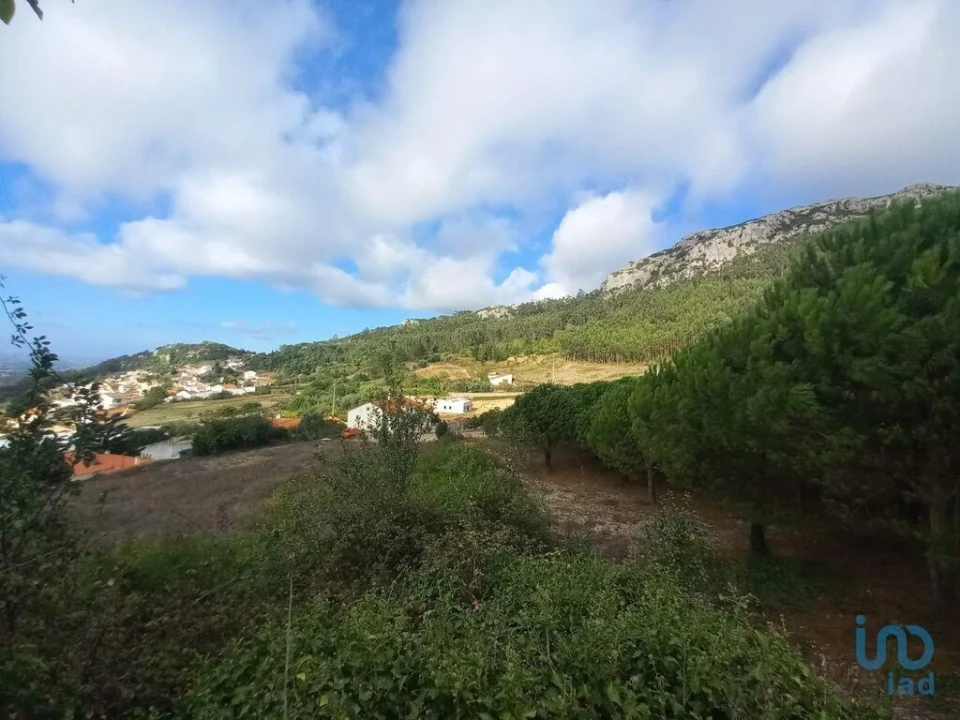 Terreno para Venda em Lamas e Cercal Foto 8
