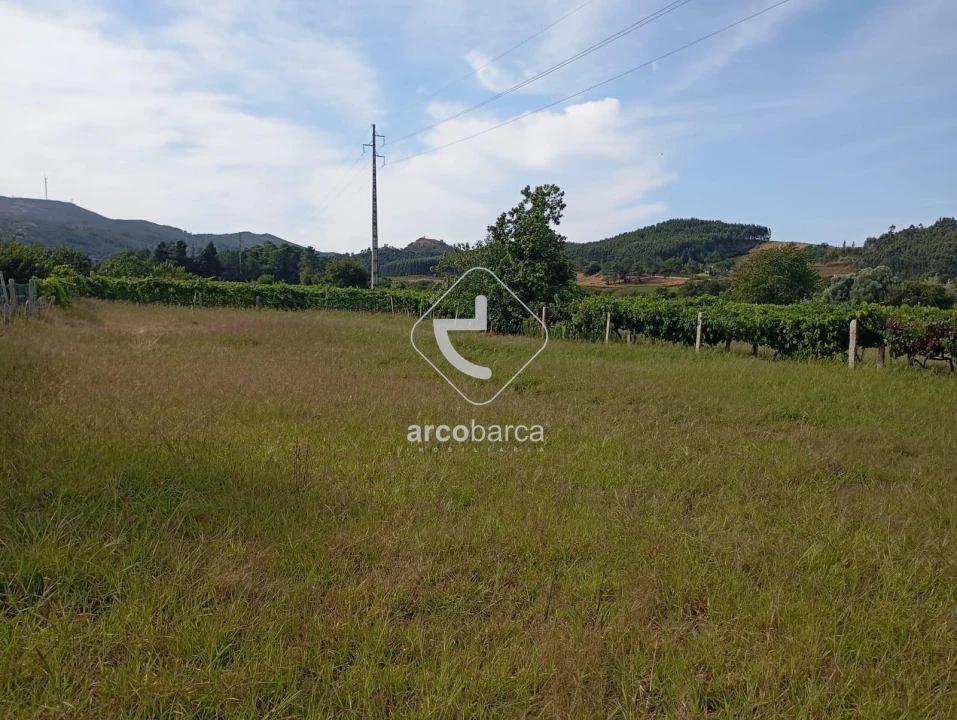 Terreno para Venda em Monção e Troviscoso Foto 4