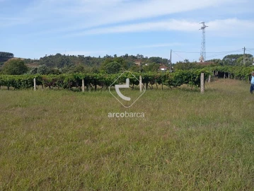 Terreno para Venda em Monção e Troviscoso