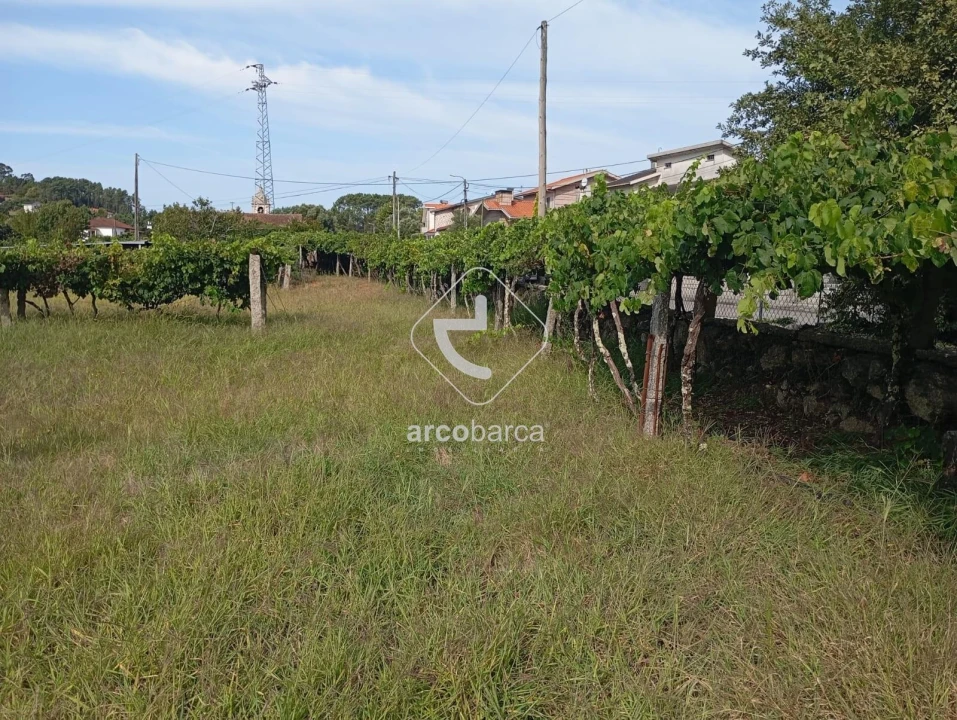 Terreno para Venda em Monção e Troviscoso Foto 6