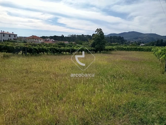 Terreno para Venda em Monção e Troviscoso Foto 3