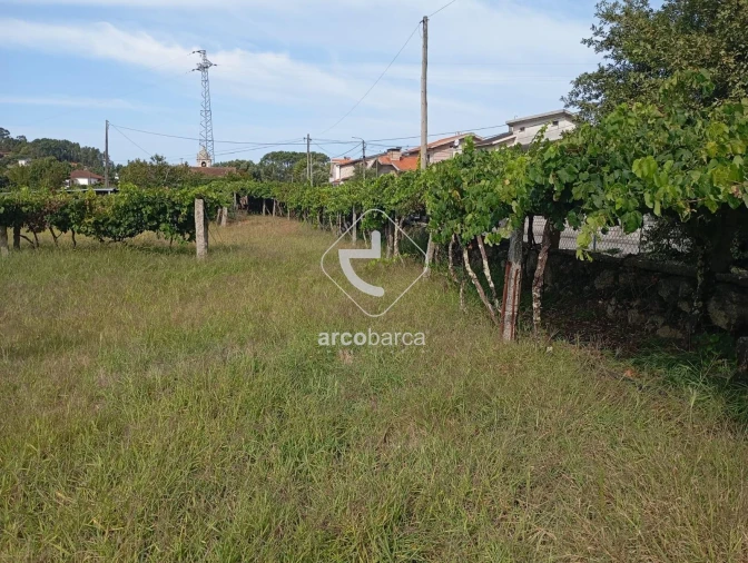 Terreno para Venda em Monção e Troviscoso Foto 6