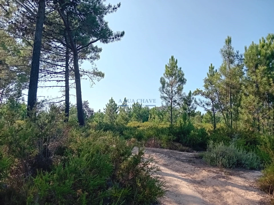 Terreno para Venda em Sesimbra (Castelo) Foto 6
