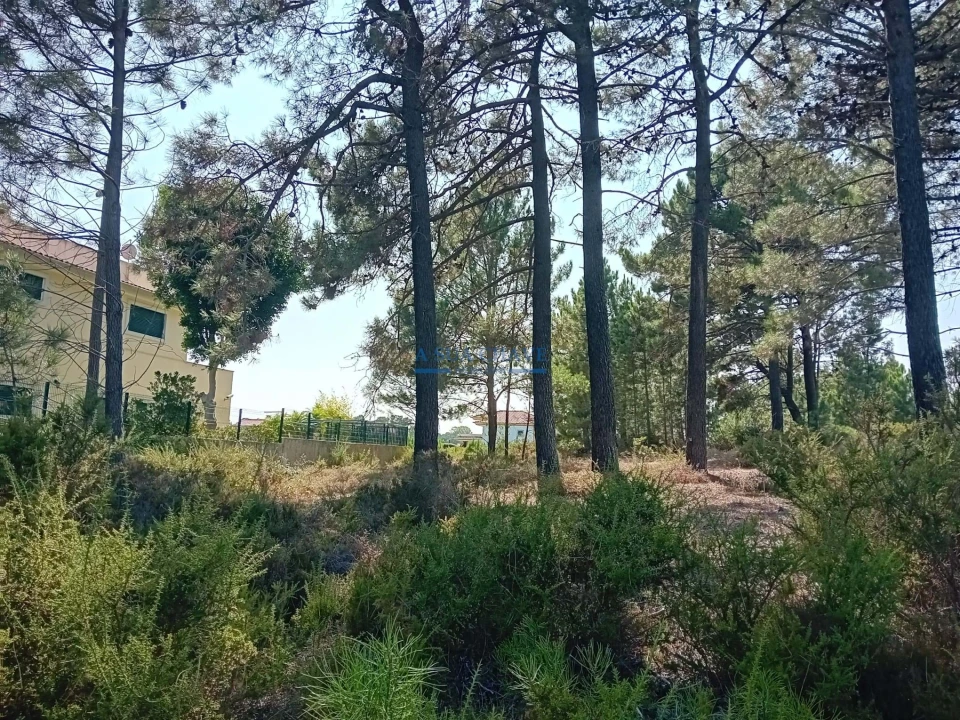 Terreno para Venda em Sesimbra (Castelo) Foto 7