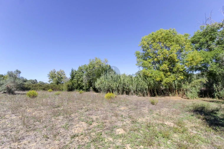 Moradia para Venda em Moçarria Foto 10