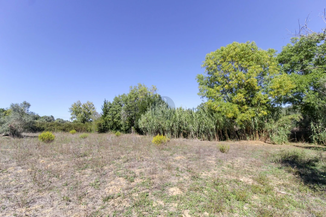 Moradia para Venda em Moçarria Foto 10